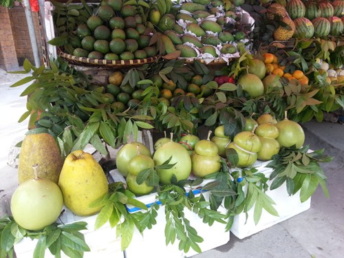 Trước tết 2 tháng, hoa quả tiền triệu đã được chào bán  | Hoa quả Tết, Thị trường hoa quả, Hoa quả tạo hình, Ngũ quả, Tết Nguyên đán