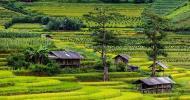 Khám phá những điều độc lạ khi du Lịch Tây Bắc