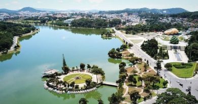 Du lịch mùa hè Đà Lạt 2026, những tọa độ mới nhất