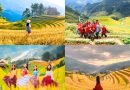Du lịch Mù Cang Chải săn mùa lúa chín trên ruộng bậc thang