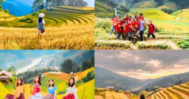 Du lịch Mù Cang Chải săn mùa lúa chín trên ruộng bậc thang