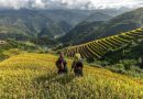 Du lịch Sapa mùa Thu: Khám phá vẻ đẹp vùng cao