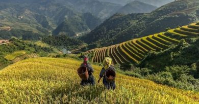 Du lịch Sapa mùa Thu: Khám phá vẻ đẹp vùng cao